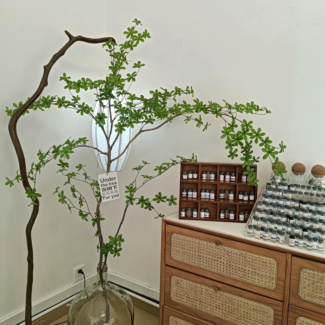 美肌🌹皮肤管理💆🏻‍♀️疗愈空间美