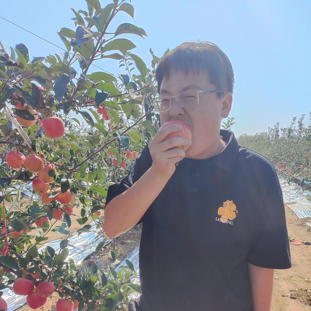 苹果种植（烟台千信）