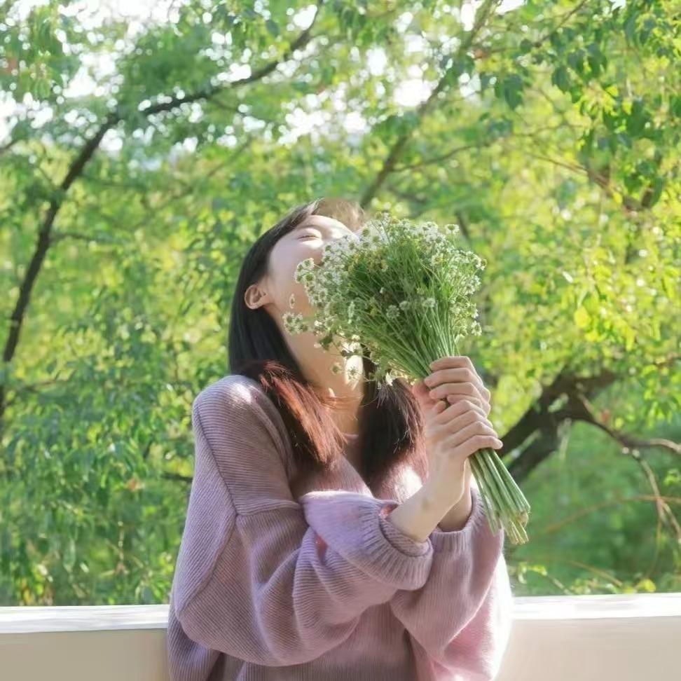 广州驰清兆科技有限公司宠粉号.