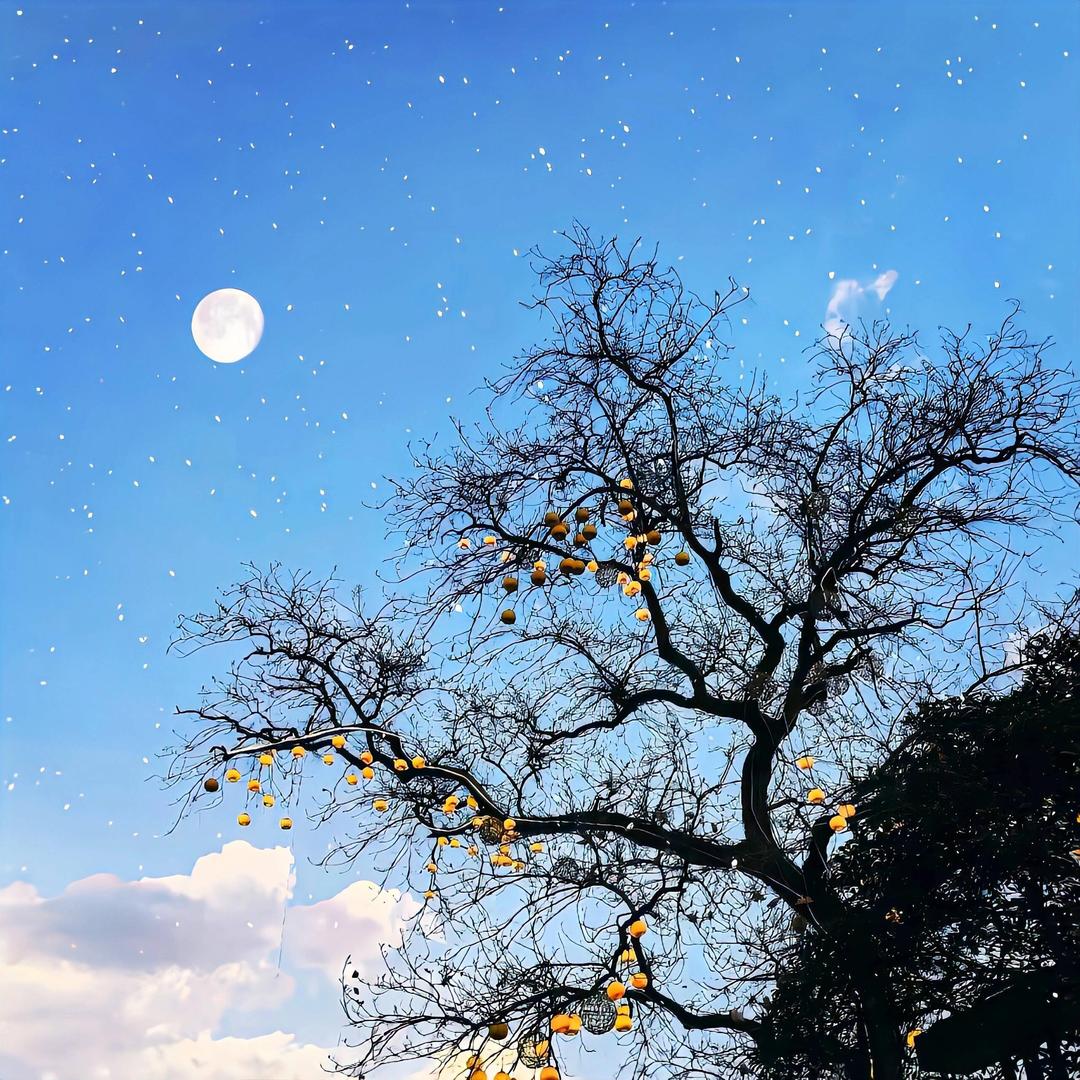 云迪便利店宠粉号