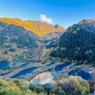 姐妹粮油店专用号