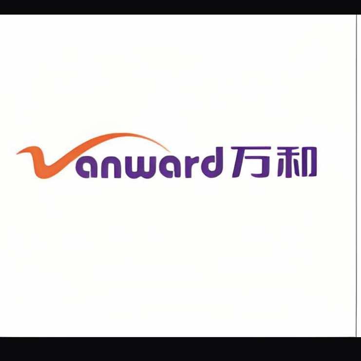 卖热水器的程程子