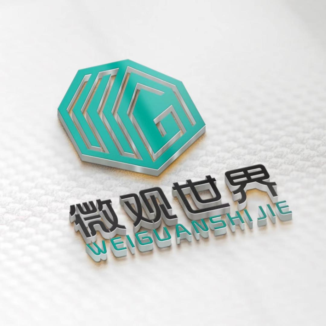微观世界城市三维地图