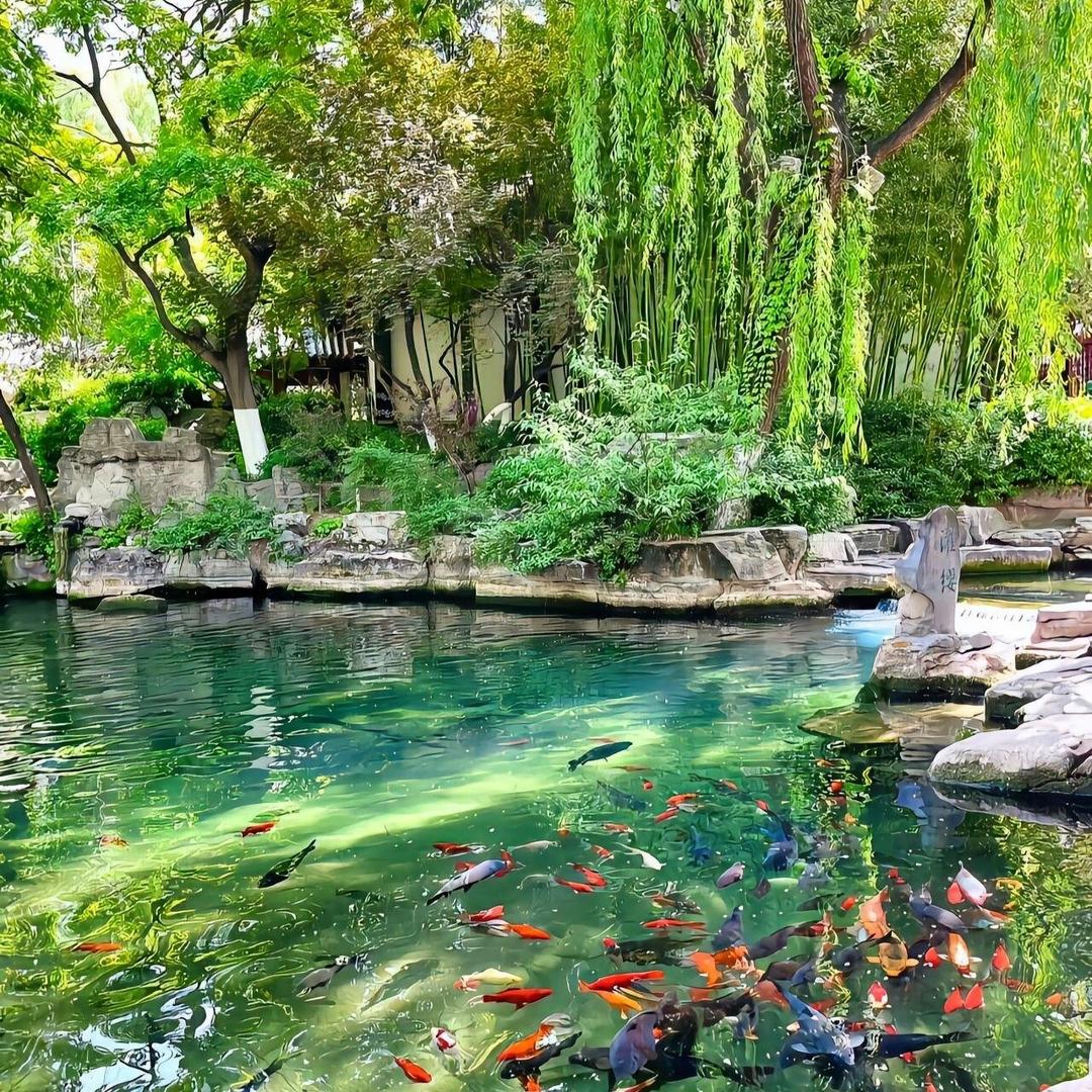 花草消石石1直播号