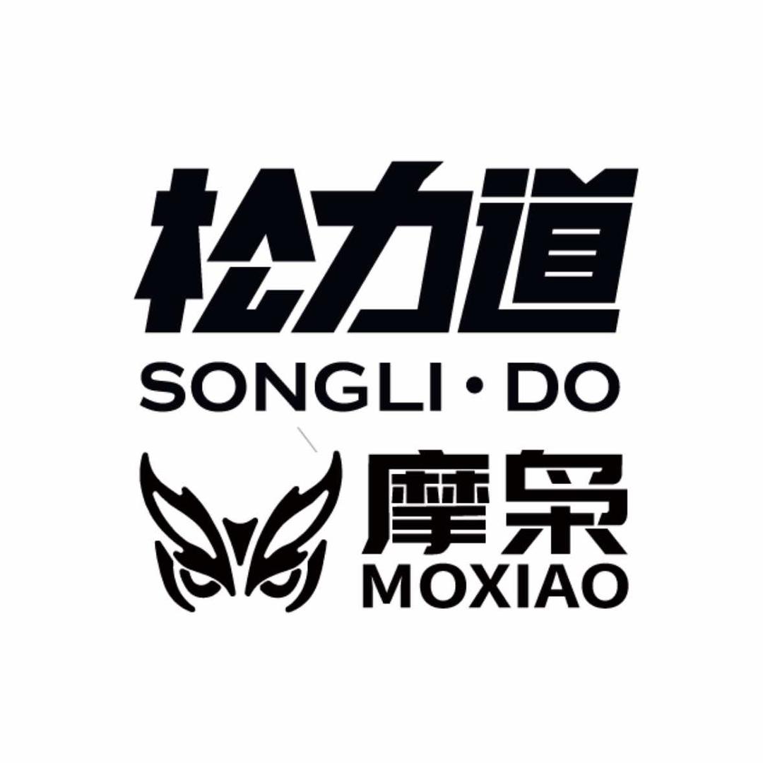 佳轩体育松力道摩枭官方用品授权店