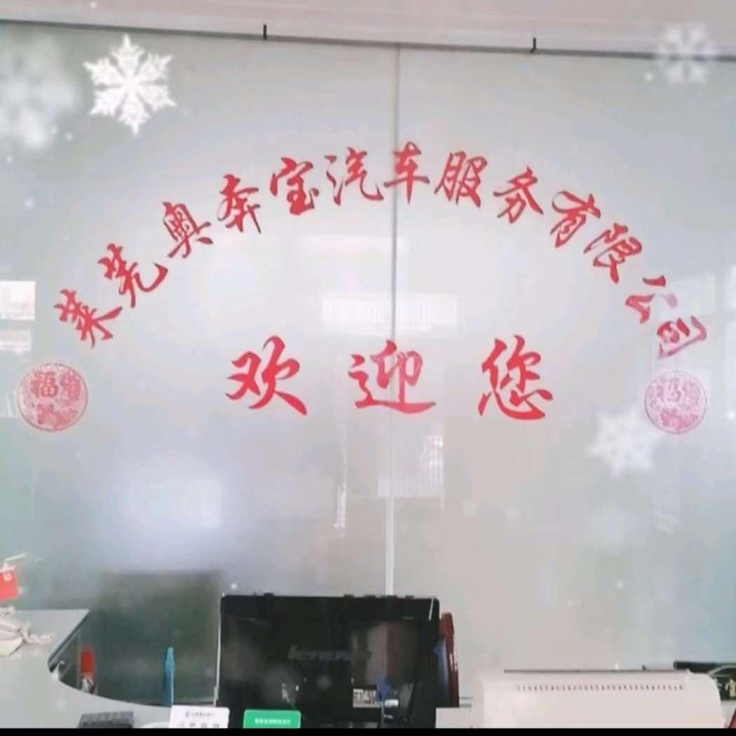 山东莱芜奥奔宝汽车服务有限公司