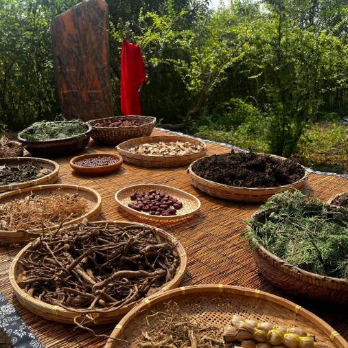 藏传百草世家之直播号