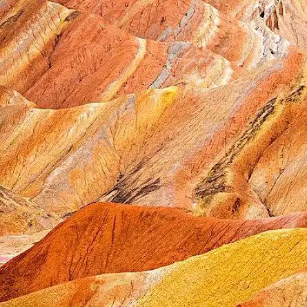 羡羡传媒直播号