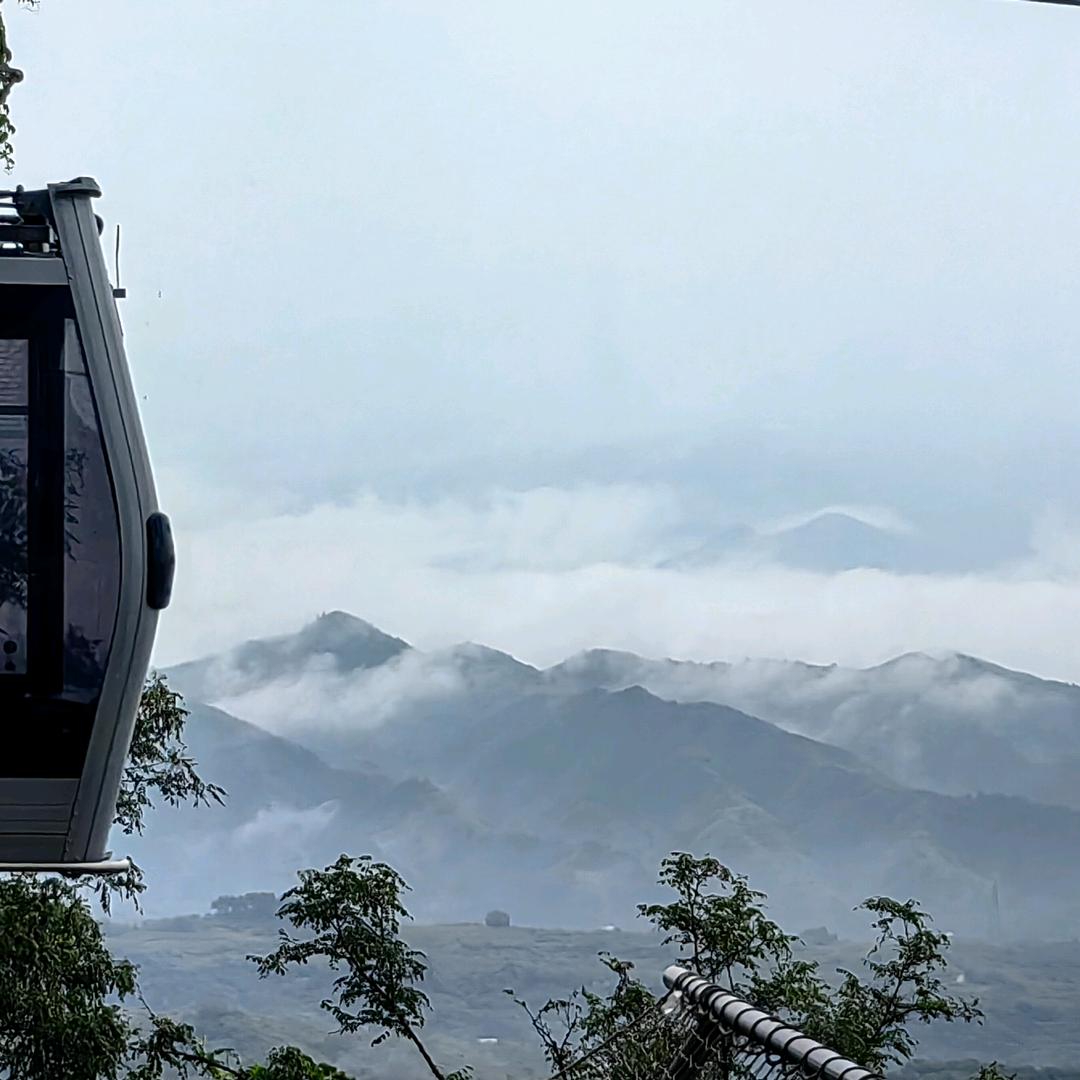 洁希亚国际洗衣(希亚大厦店)专用号