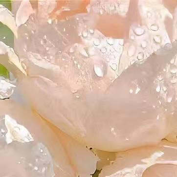 集源便利店(恒大云报华府御府店)云南沟帔钡商贸有限公司运营播号