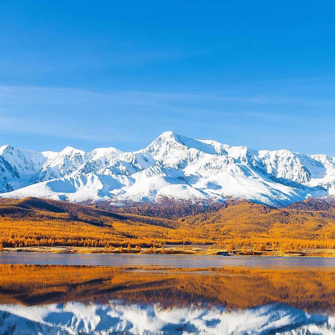 冷暖康鹏直播号