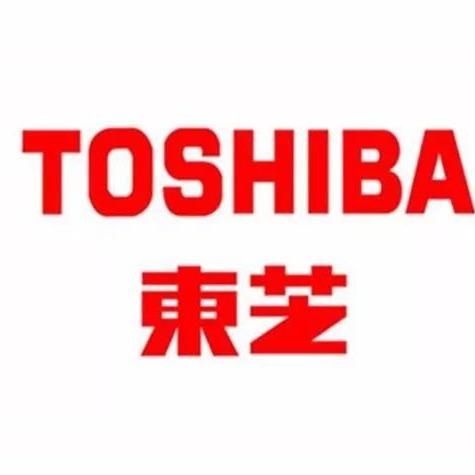 东芝家用电梯-上海乙奇