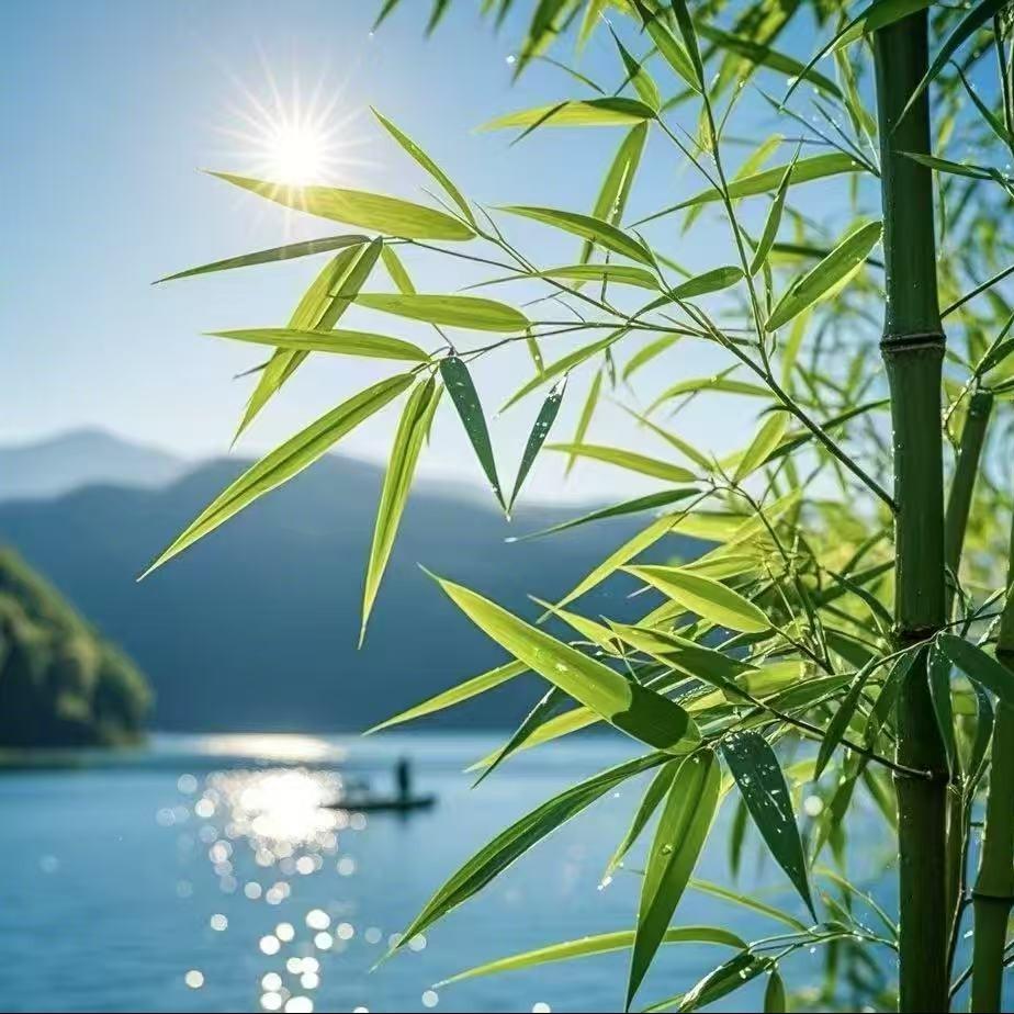 青柠摄影（出图）
