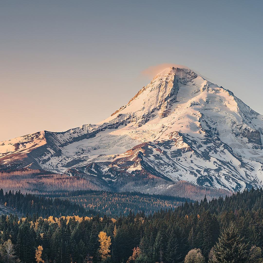 湖北省肃驰乡文艺馆直播号