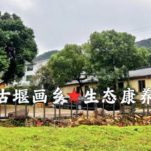 丽水港和民宿山庄生态康养基地