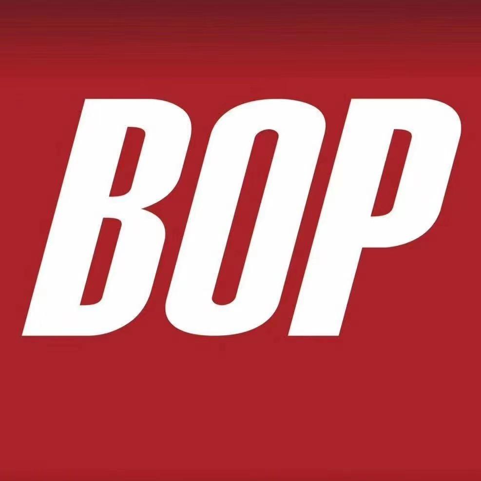 中卫BOP保镖（车印象）