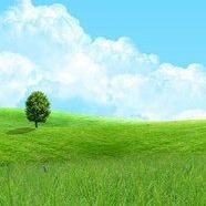 淘E柜(巢上城店)源跃日常号