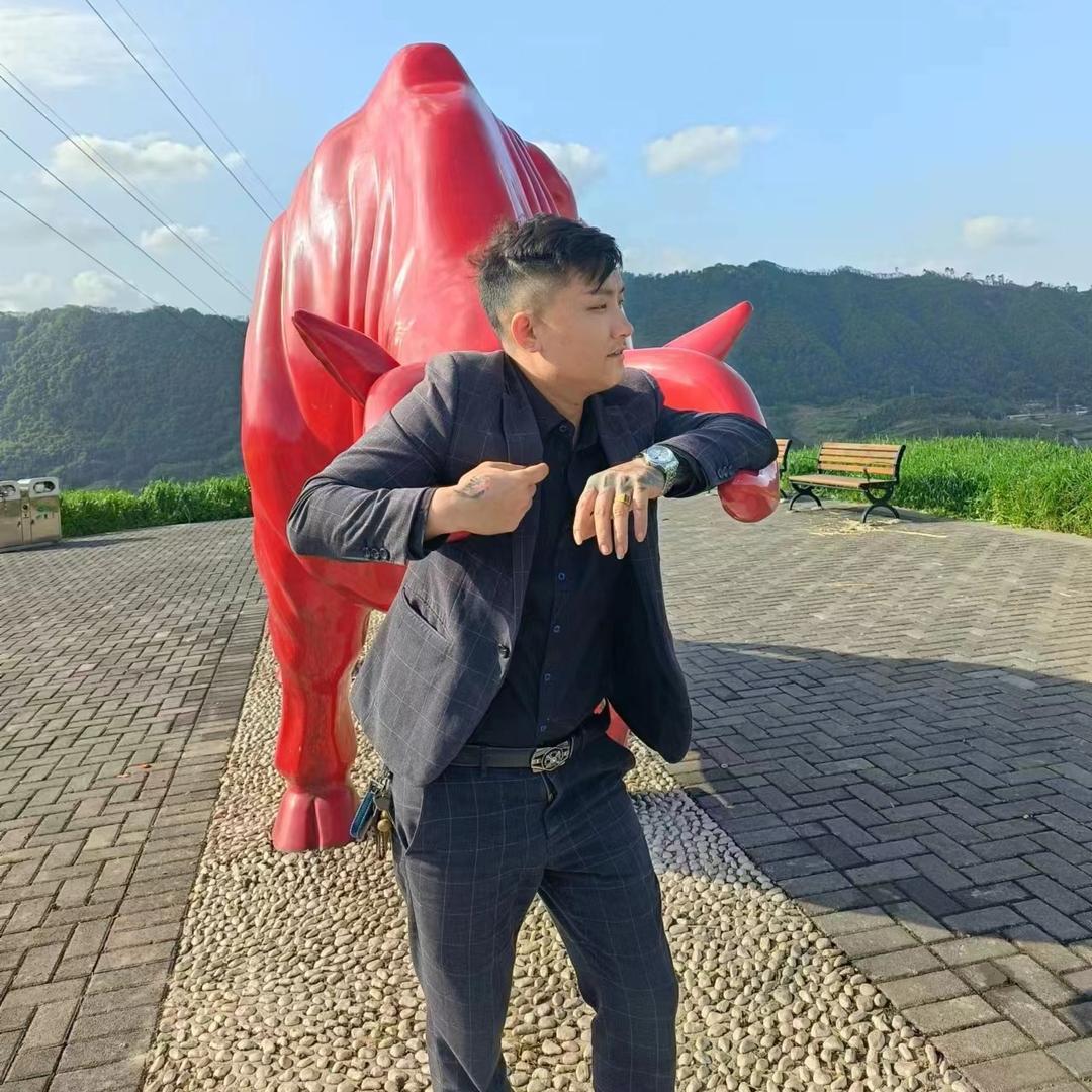 宜 宾 牛 门 达 哥