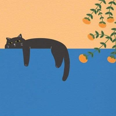 深圳市韩蓉府酒店管理有限公司涛子直播号