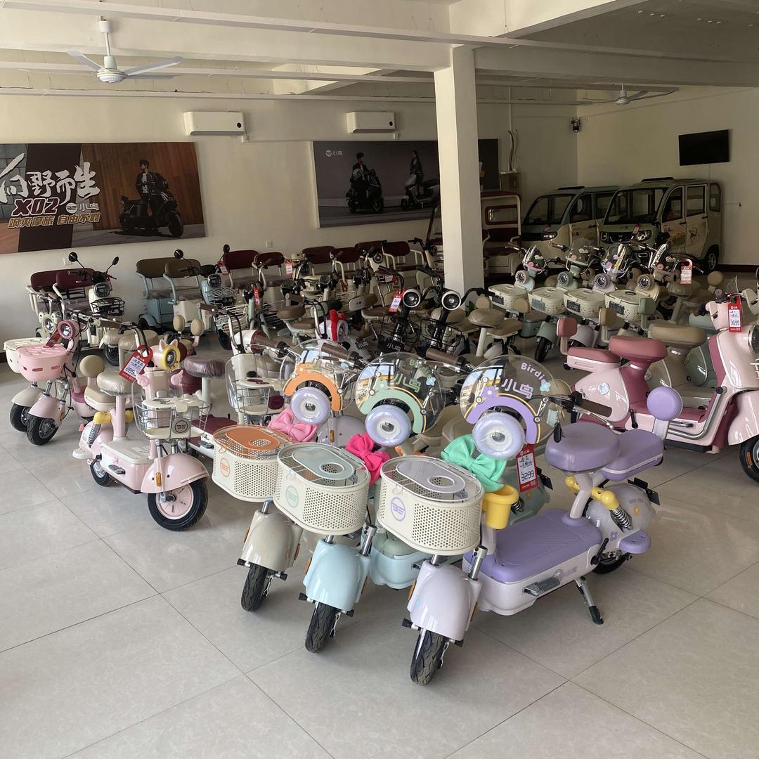 强刚车行（小鸟电动车）