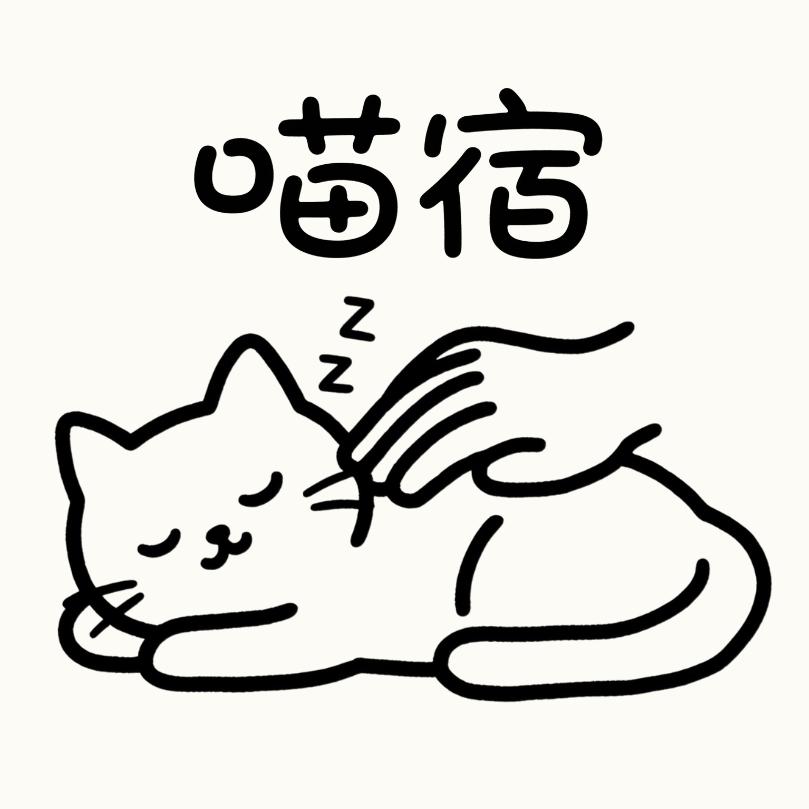 喵宿I猫咪寄养I猫咪洗护