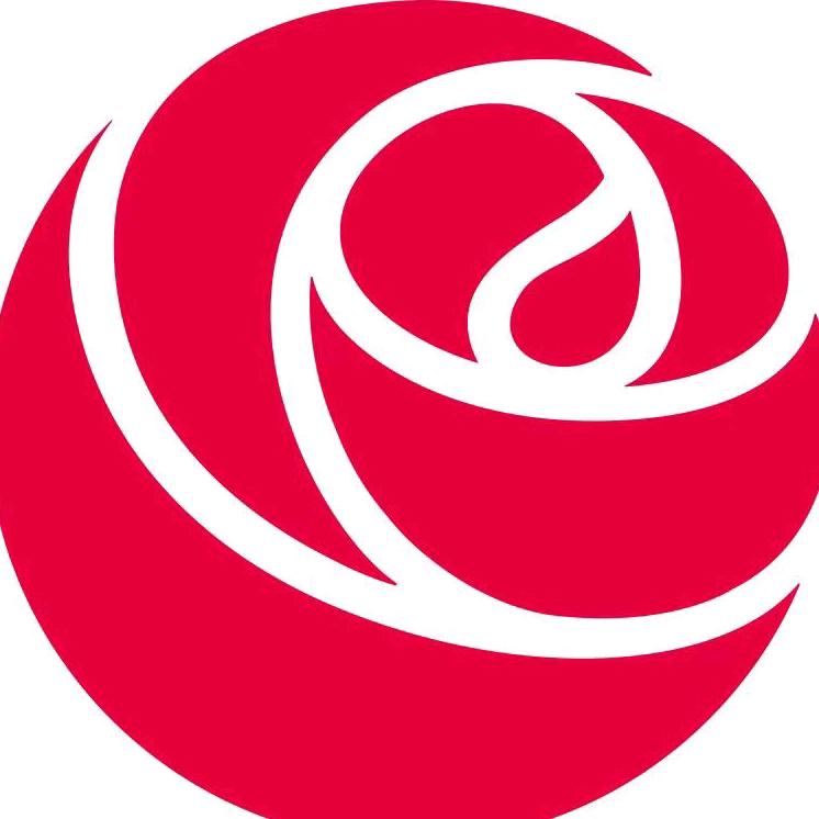 玫瑰岛全卫定制阎良店