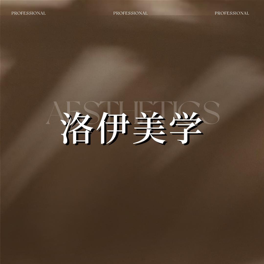 洛伊美学