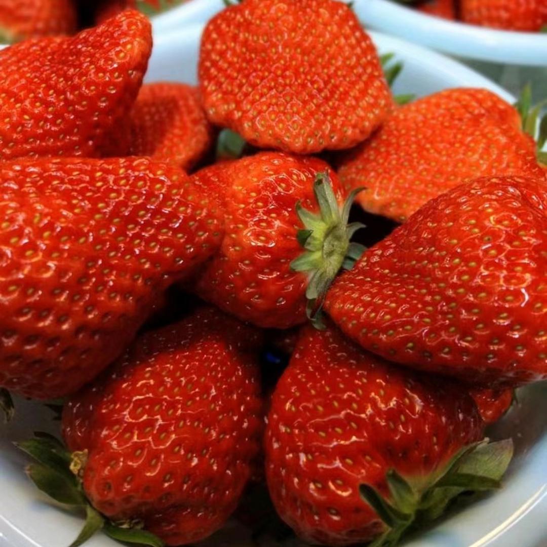 丽江大学生草莓园官方号