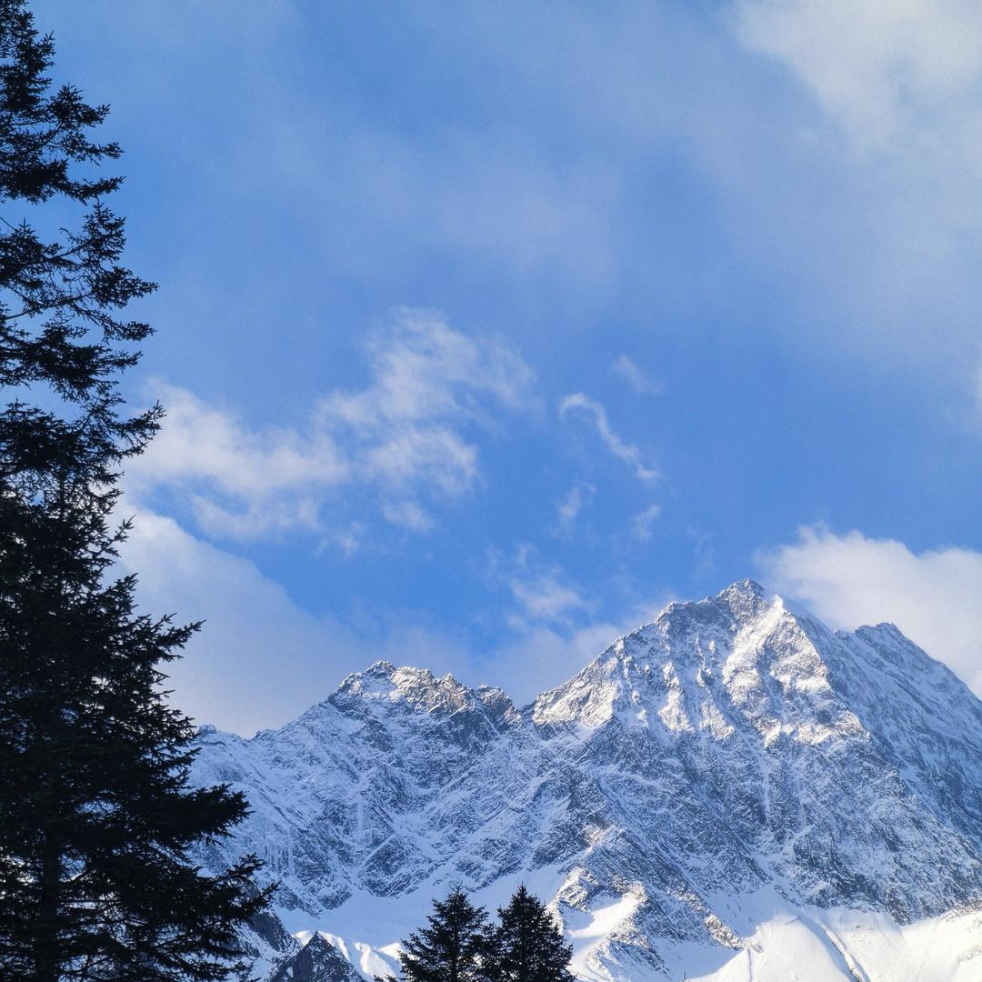 妙佳百货商行官方号