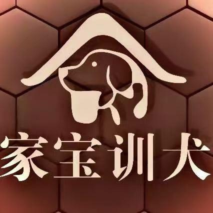 成都家宝训犬