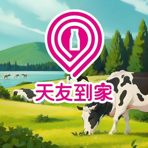 天友到家