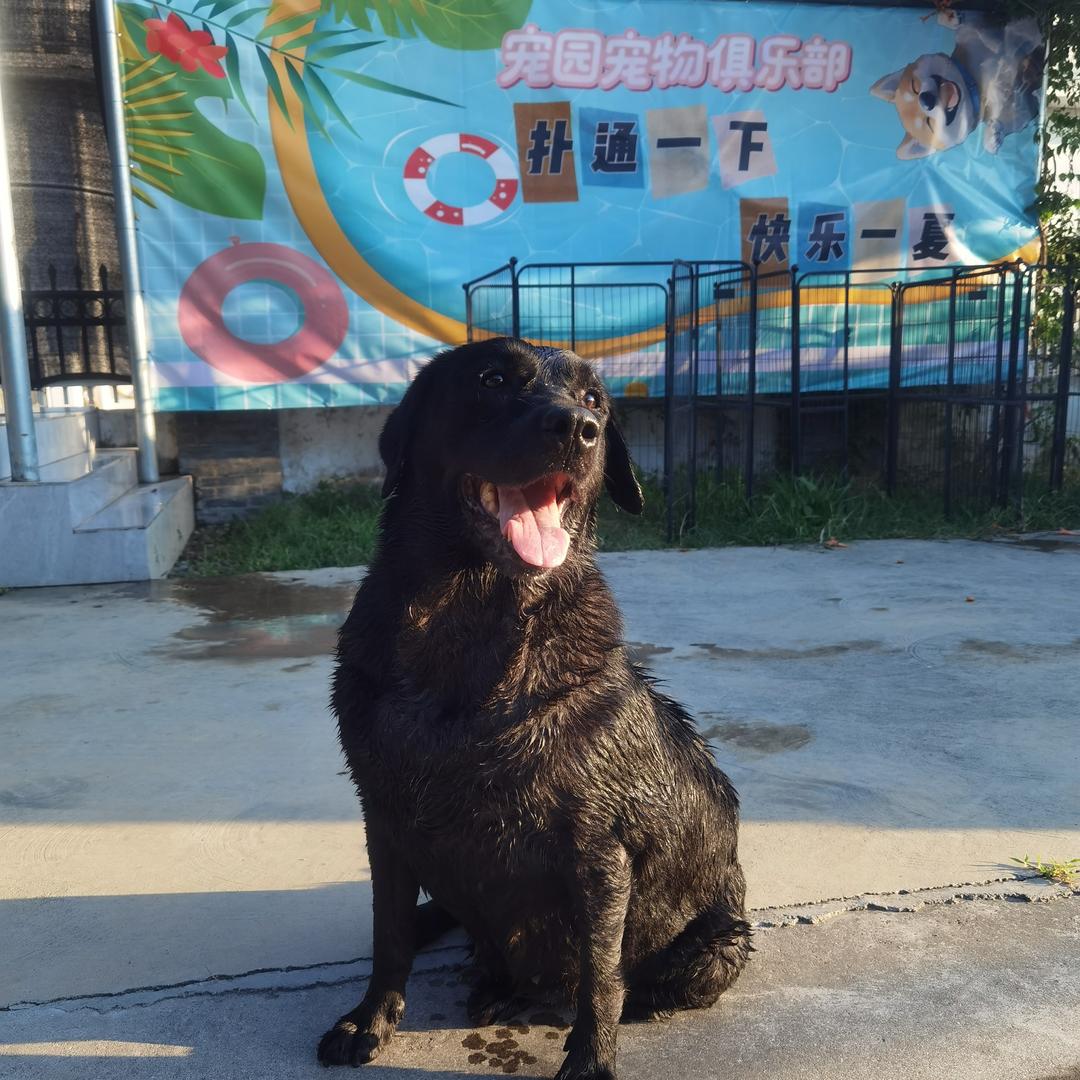 合肥宠园宠物俱乐部