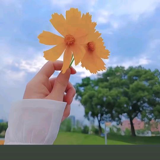 童蕴有限公司官方号