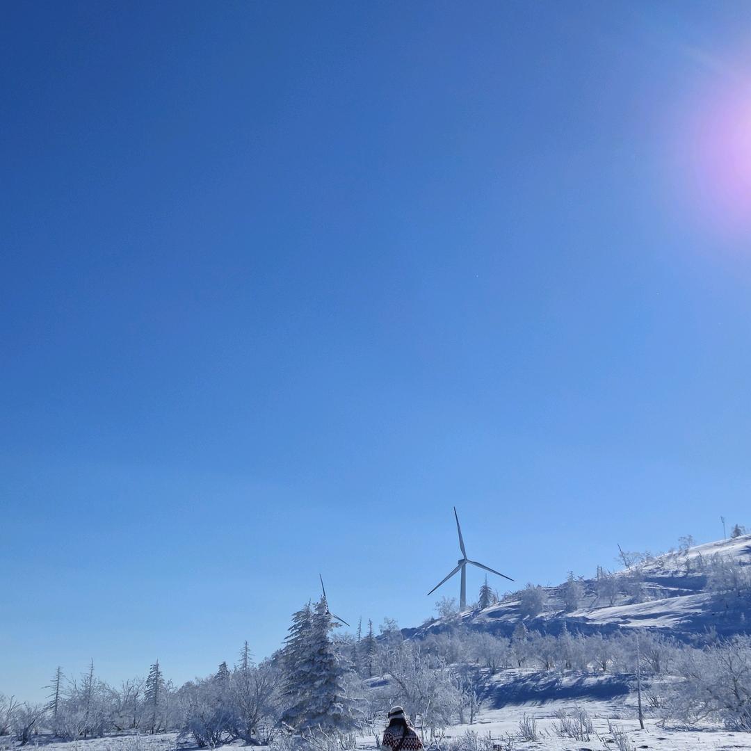 曲扣巧直播号啦