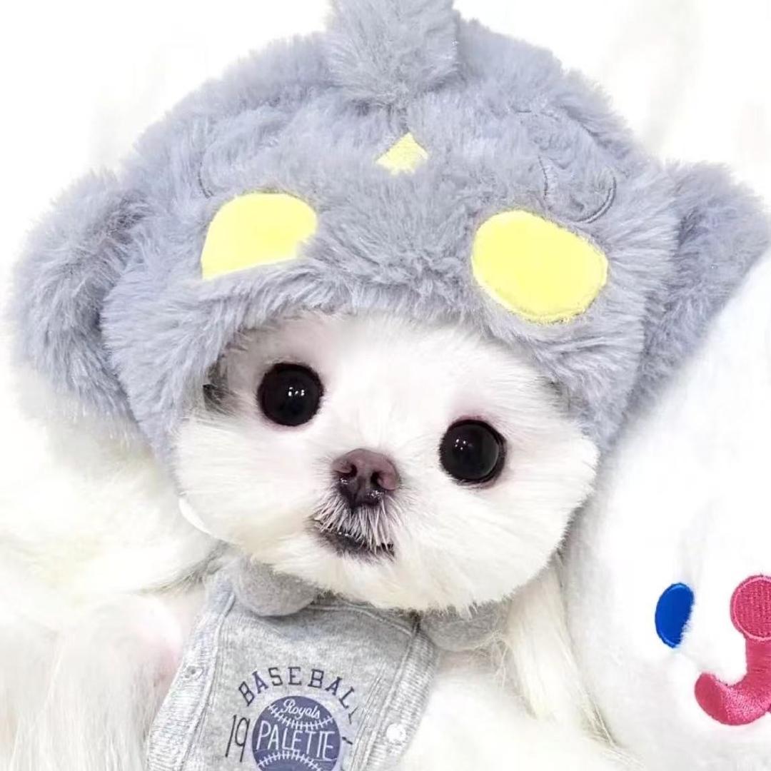 欢乐战三国霜喜