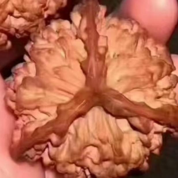 吉林省紫晶动漫科技开发有限公司专用号