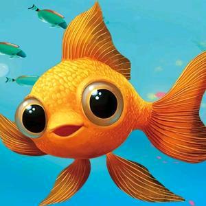 抓小鱼梦幻水族乐园（芷江佳惠购物中心店）