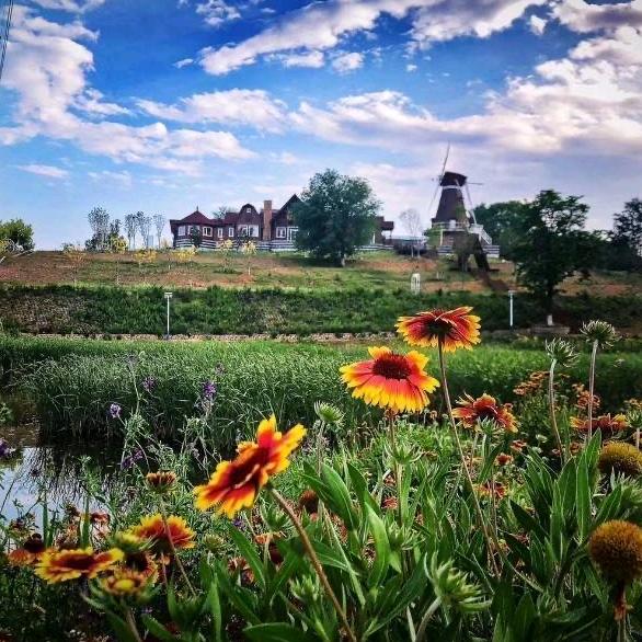 中华名枣园官方号