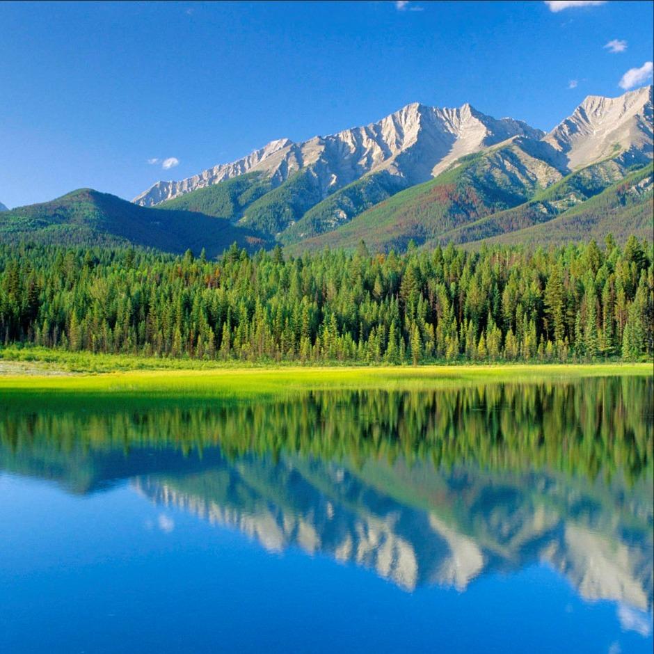 旭皓珩科技商铺