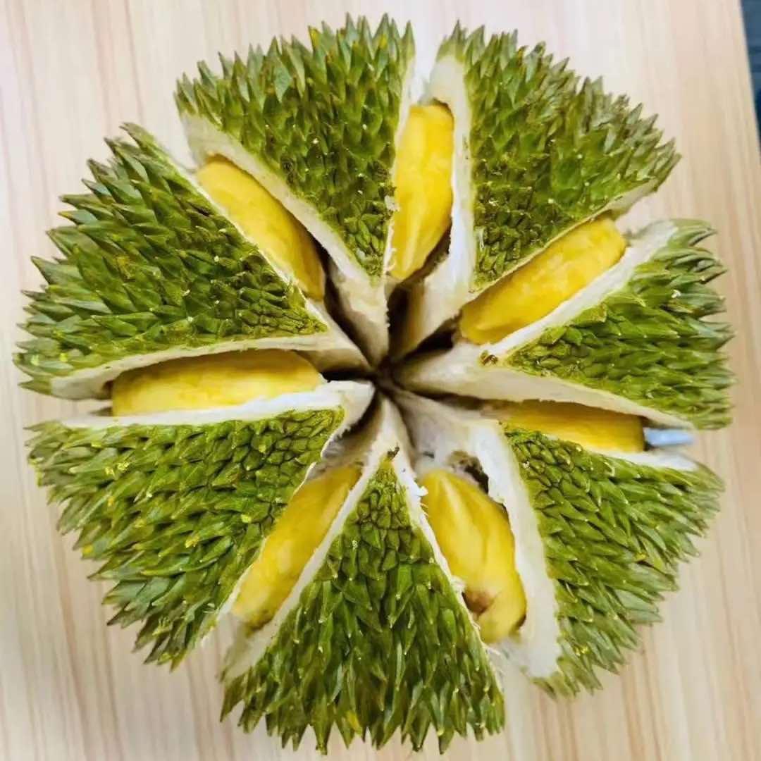 水果朱杰