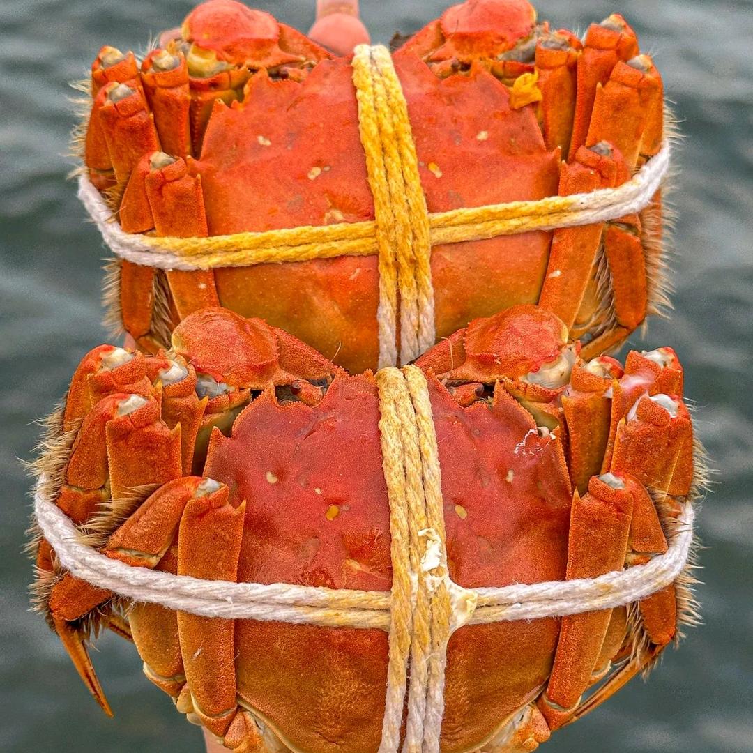 梁子湖金龙潭星宿度假村官方号