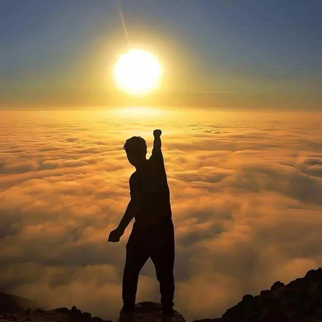 阑希伦壹帆科技8号