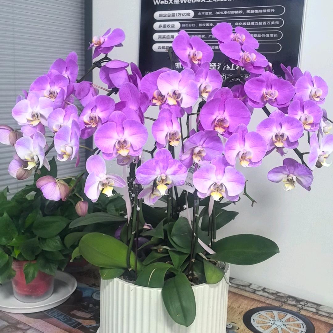 梦涵头疗养生馆