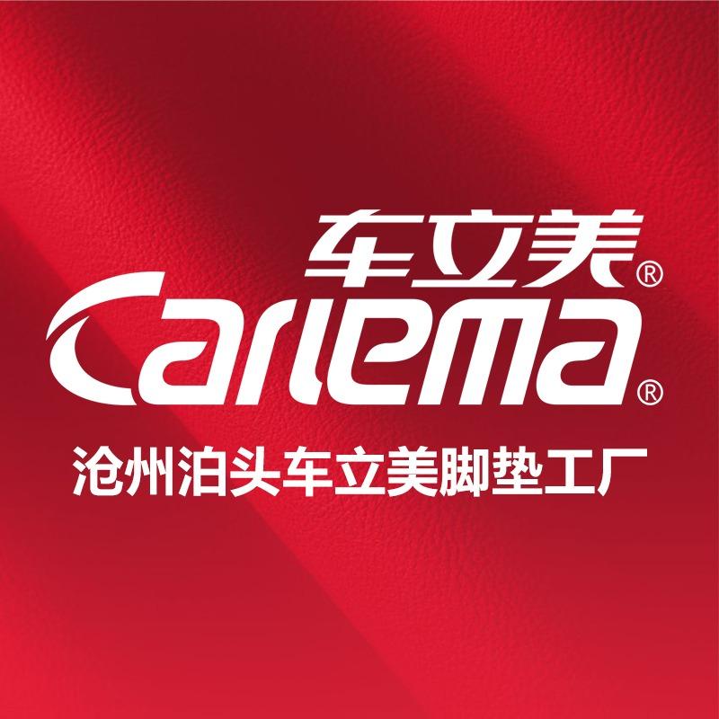 车立美膜垫连锁工厂（泊头富镇）
