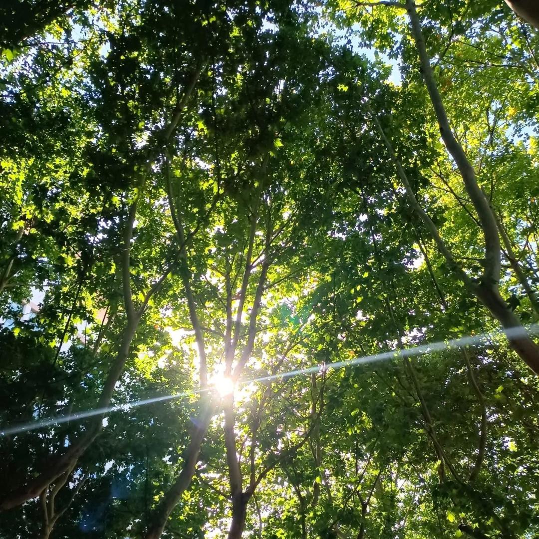 数光授渔-