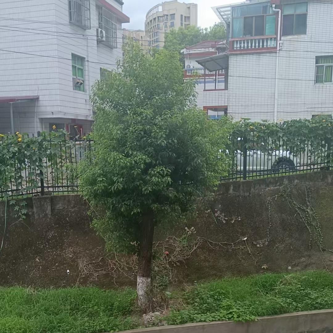 凌明耀好物甄选
