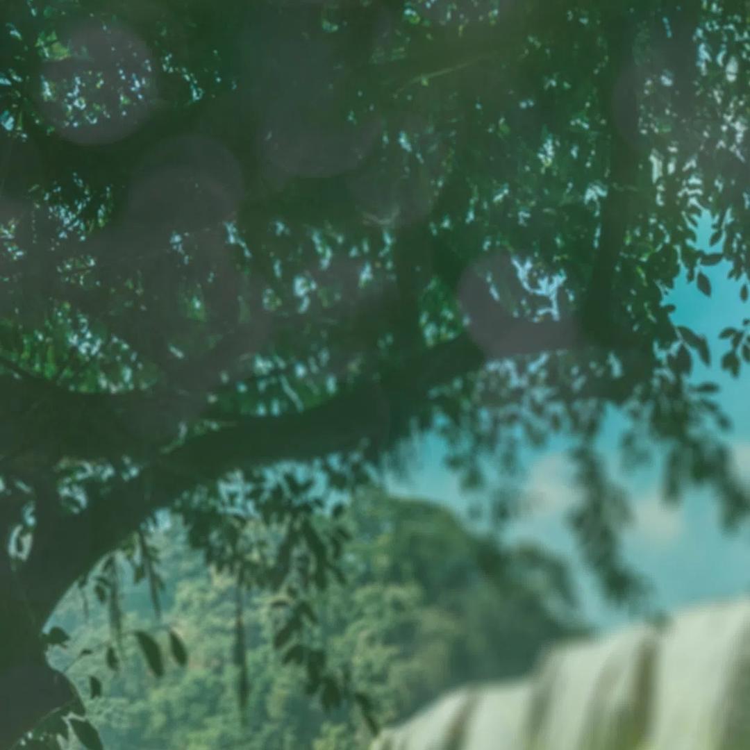 博世冰箱(回龙观西大街店)荣达才有限公司51直播号