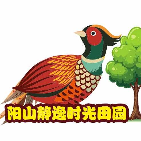 阳山静谧时光田园（云畔山庄）