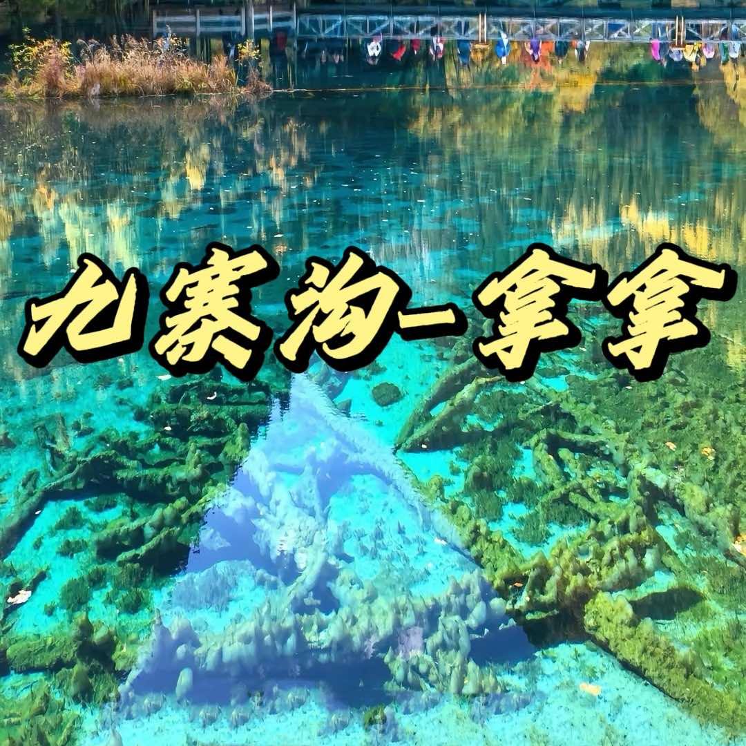 九寨沟攻略官-拿拿（仁卿朗则藏餐吧)