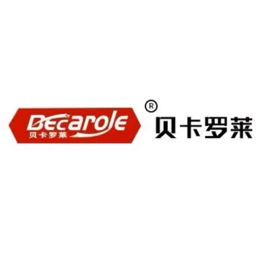 伊山苑Becarole(直播号)